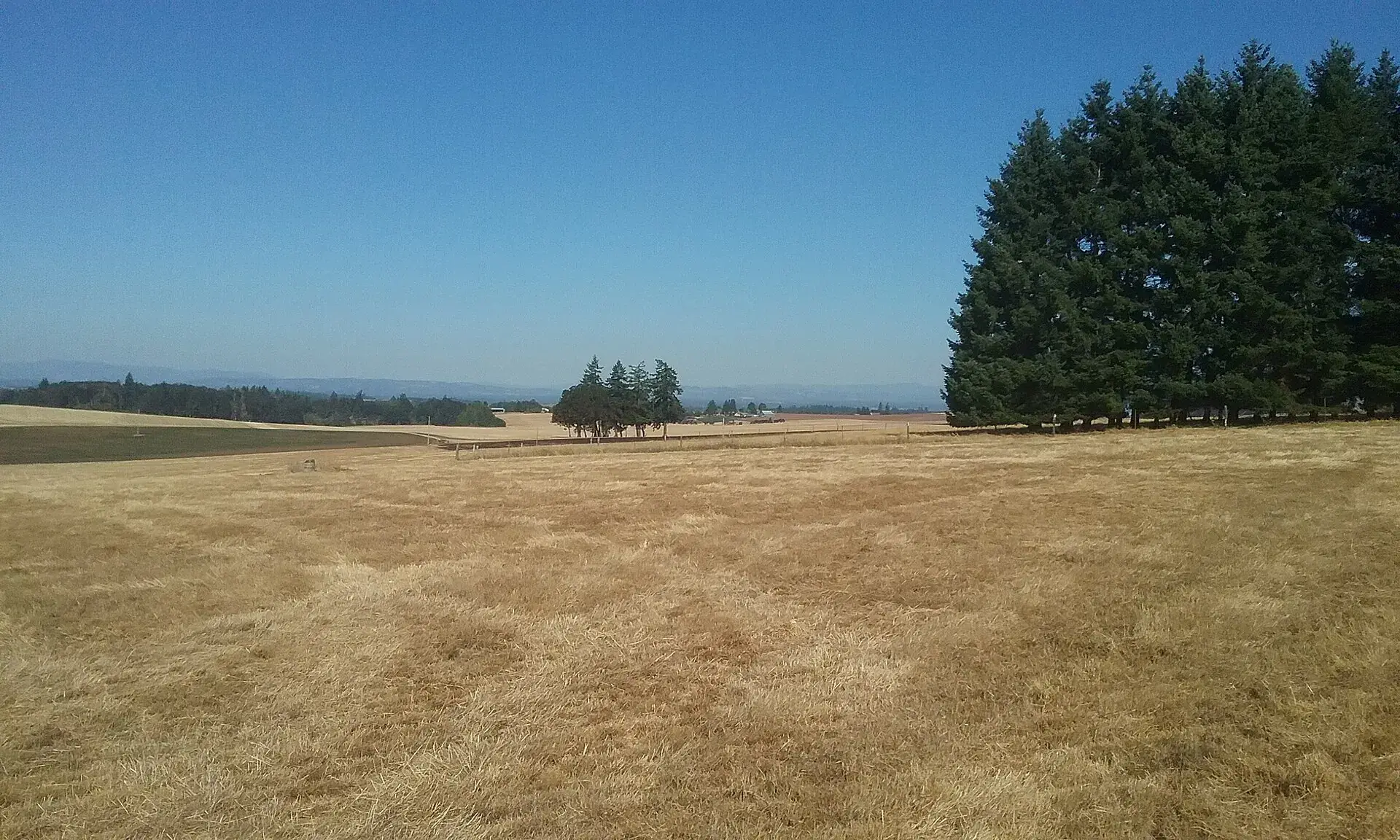 Farmland in the Willamette Valley, Oregon, with a treeline on the horizon